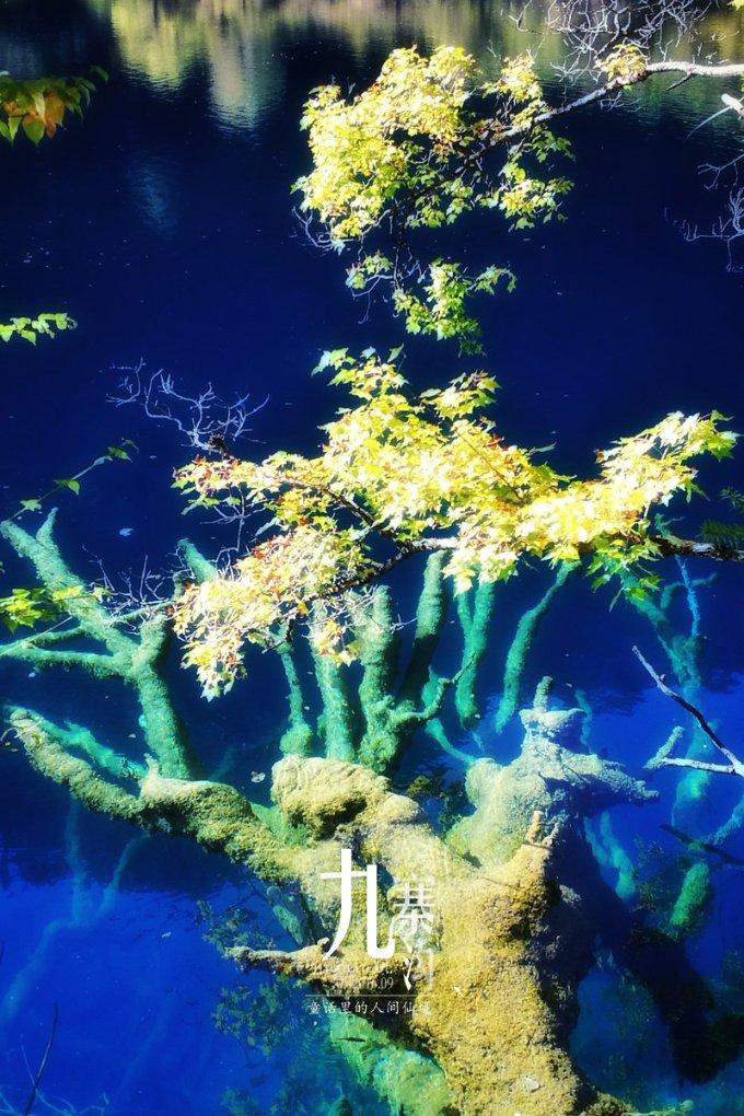 欧洲的旅行