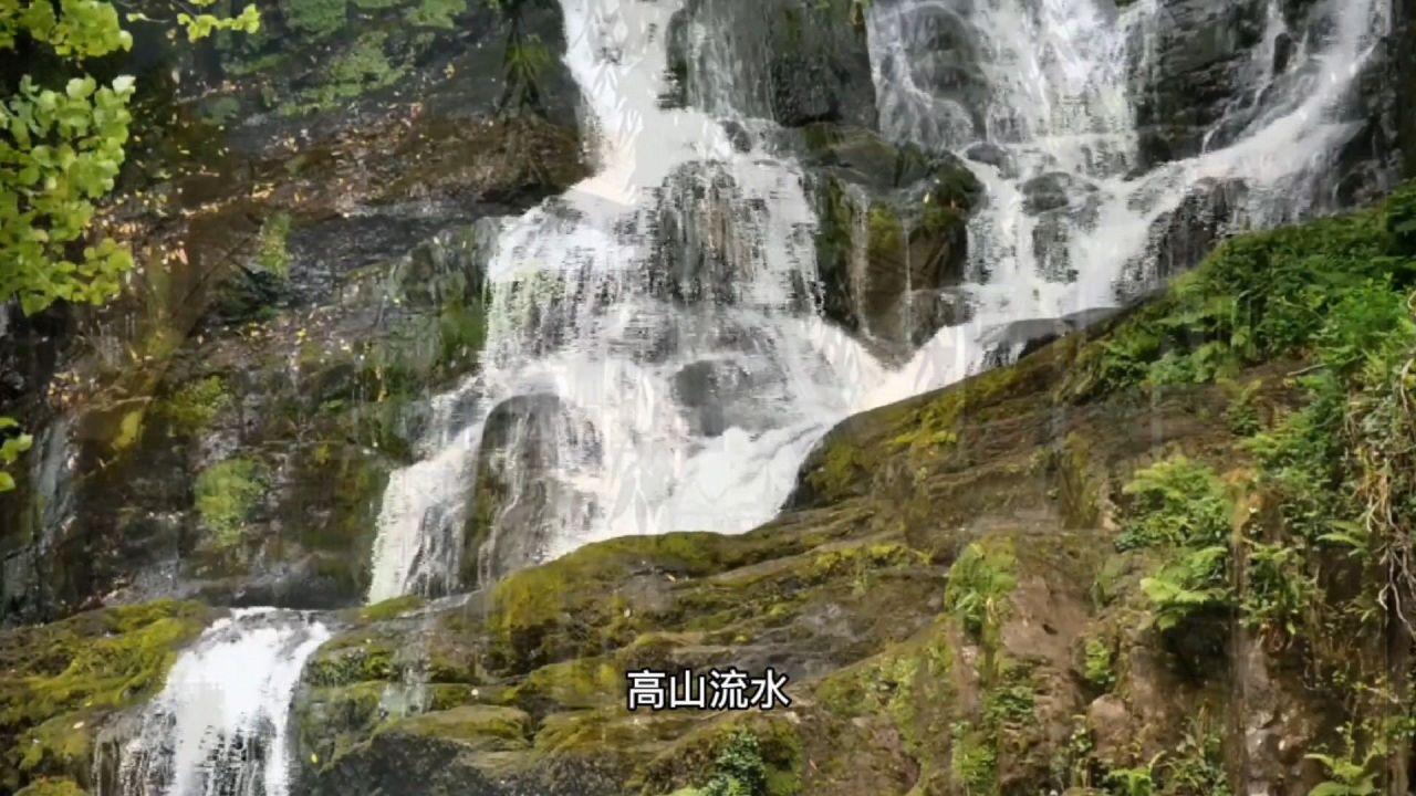 众神之宝