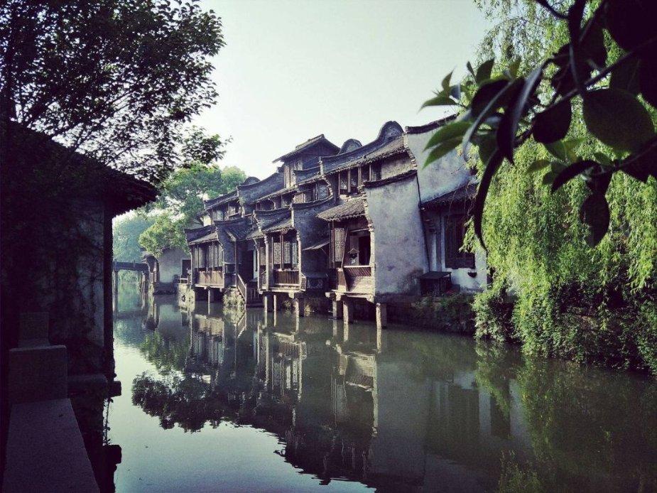 植物大战僵尸6