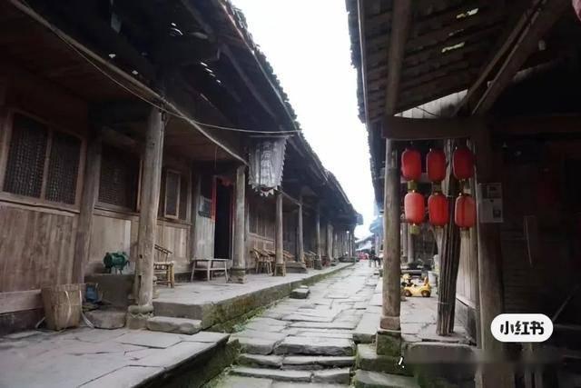 逃离未知丛林2